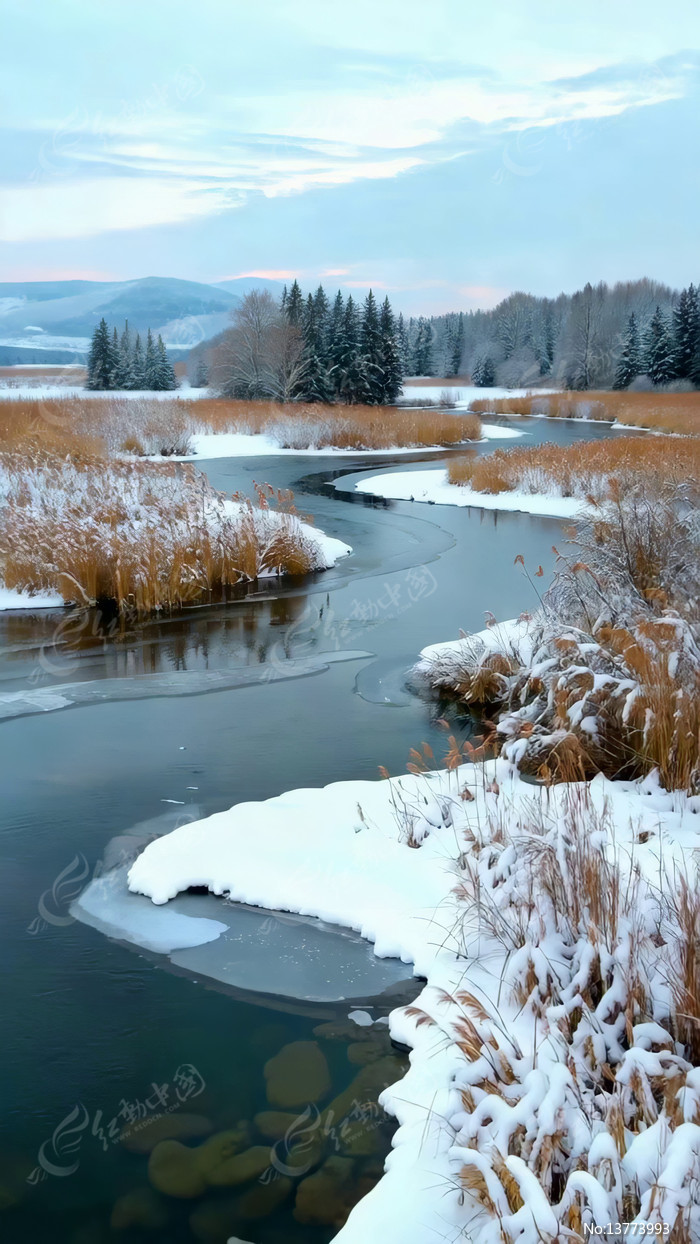 ���պ���ɭ��ѩ��