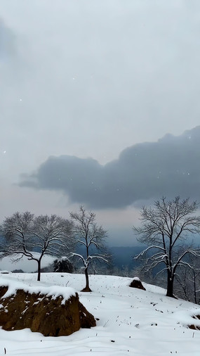 ����ѩ���е���ľ�羰