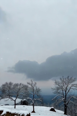 ����ѩ���е���ľ�羰