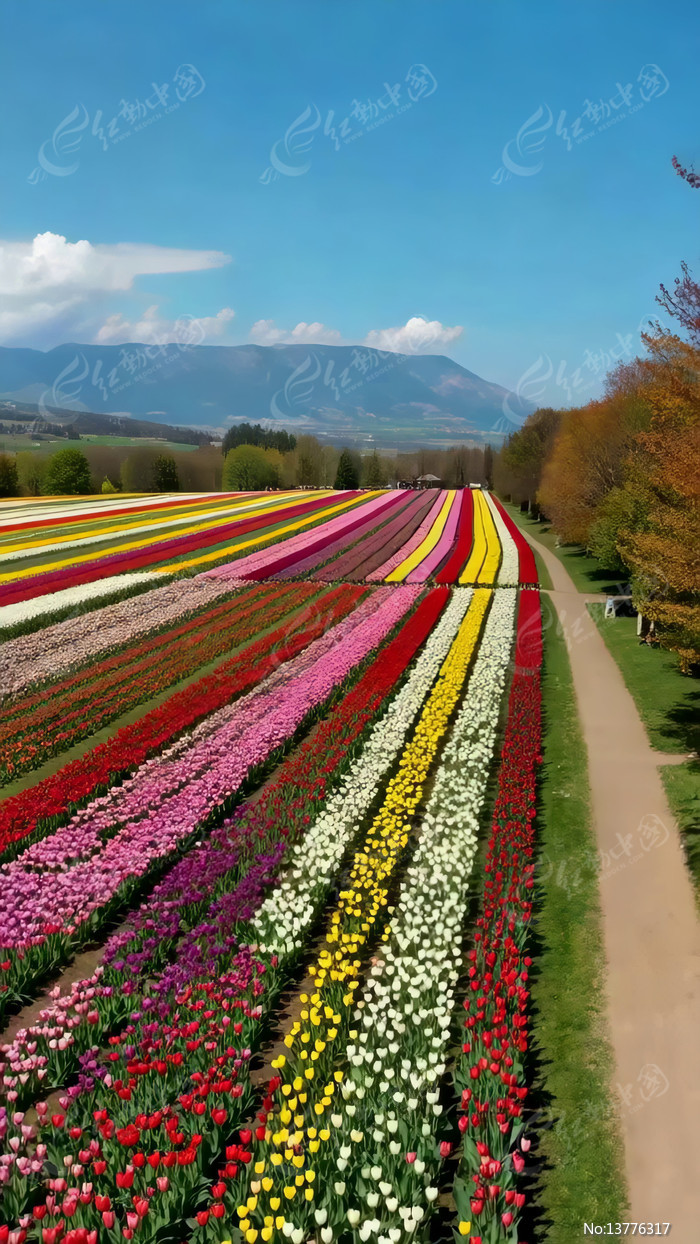 ��������㻨������