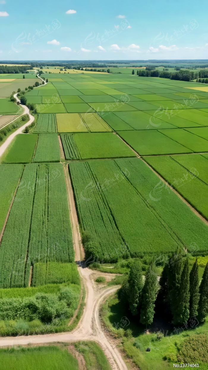 �������ɫũ��