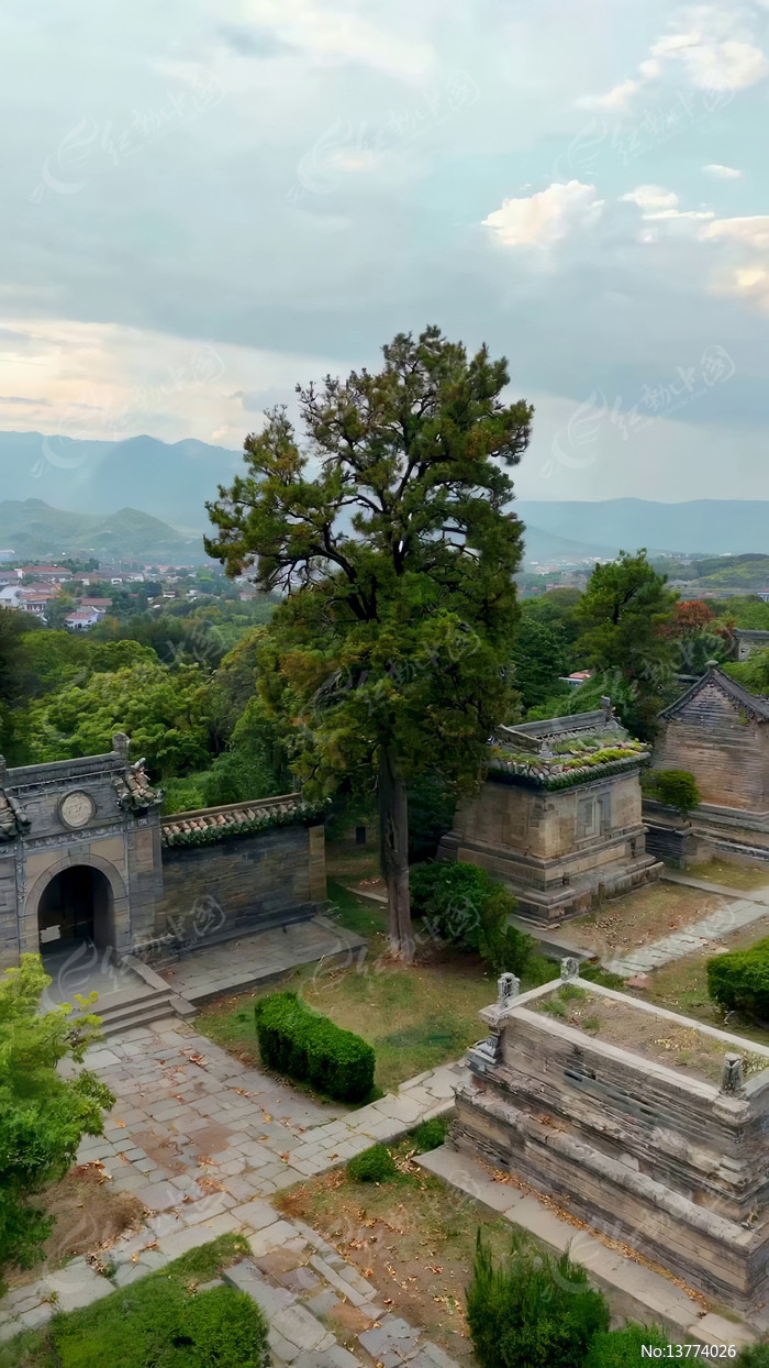 ��Ž�������ľ����