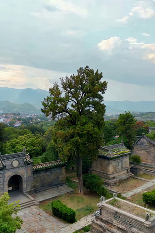 ��Ž�������ľ����