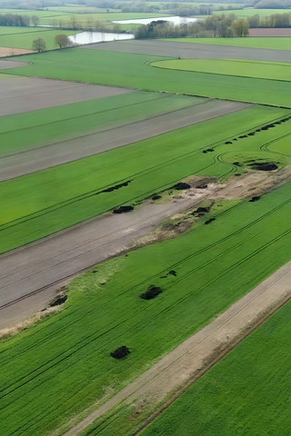 �����ɫũ����Ұ����