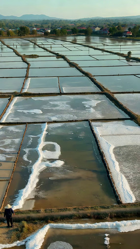 ������Ｐ��������