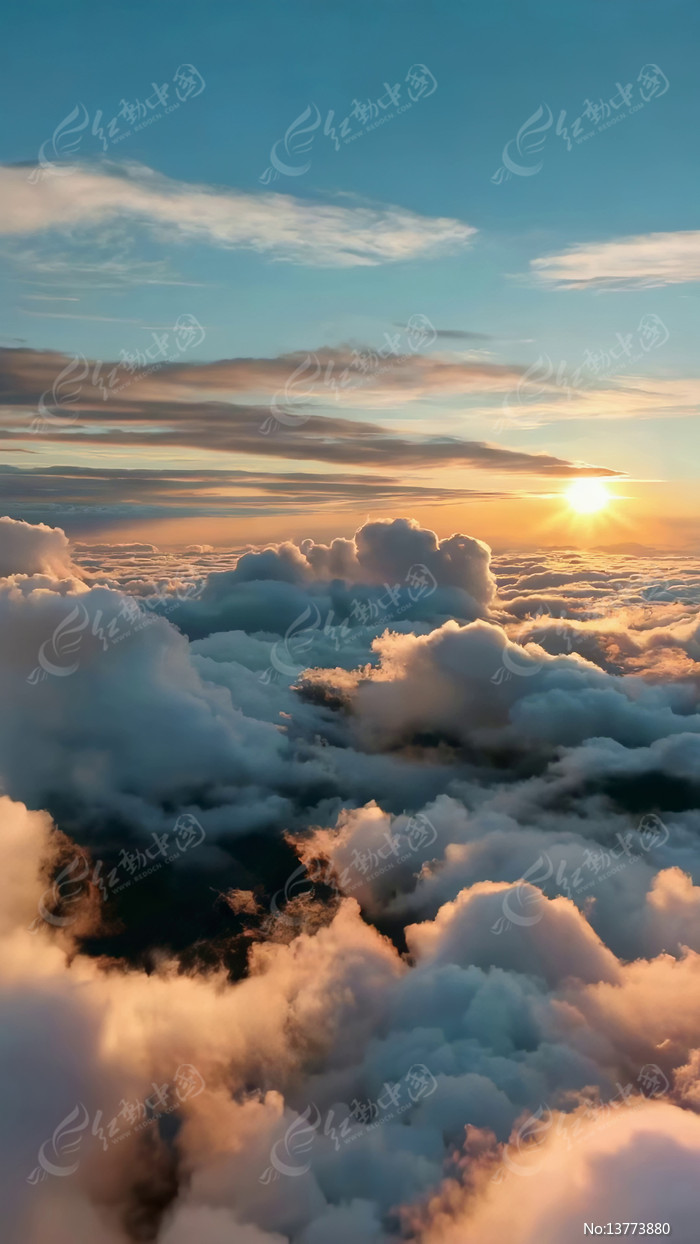 �߿��ƺ��ճ�����