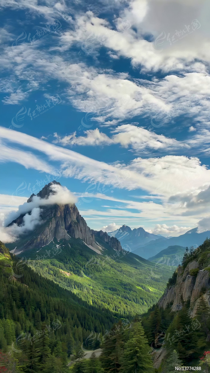 ��ɽɭ�����������Ȼ����