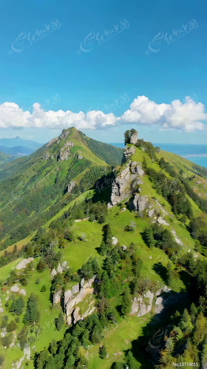 ��ɽɭ����Ȼ��⺽��