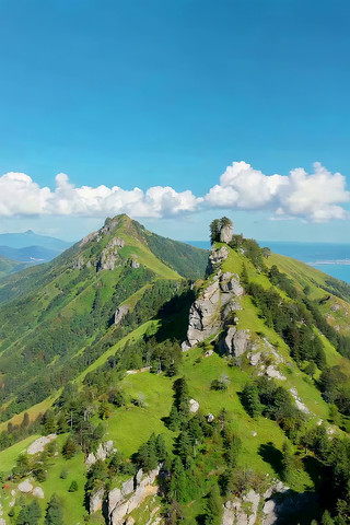 高山森林自然风光航拍 高山森林自然风光航拍