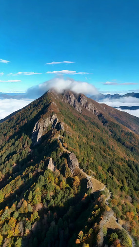 ��ɽ�ƺ�ɭ�ֺ���ȫ��