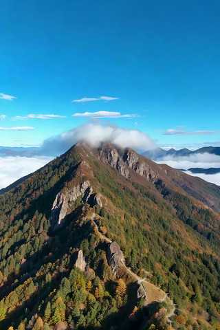 高山云海森林航拍全景 高山云海森林航拍全景