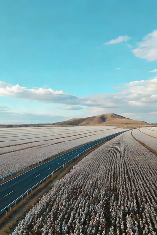 ��·���޻��ﺽ�ķ羰