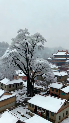 �Ŵ���ѩ���д������Ǻ�ѩ