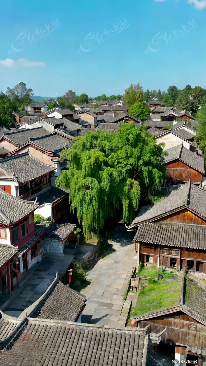 ����Ž������ȫ��