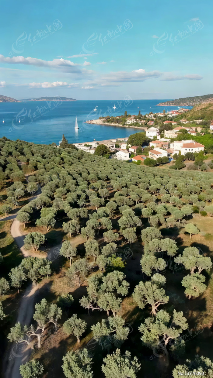 ����С����������ֺ���