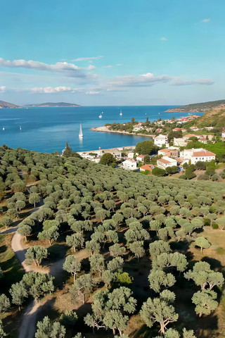 ����С����������ֺ���