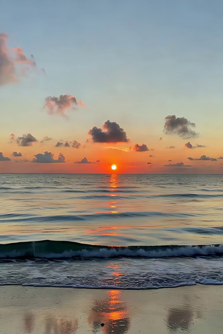 ������������