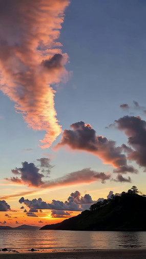 ������������Ʋ�����