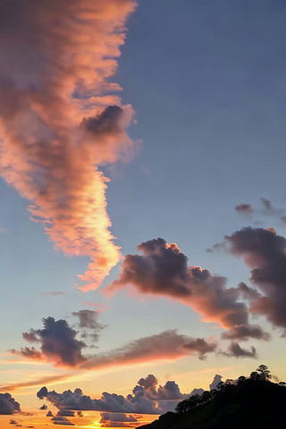 ������������Ʋ�����