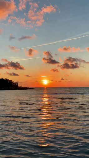 ����������Ȼ���