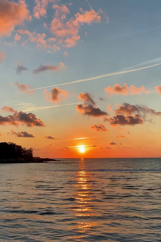 ����������Ȼ���