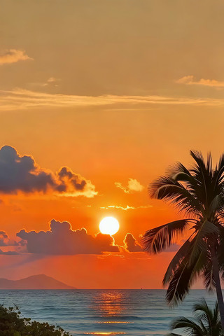 ��������������羰