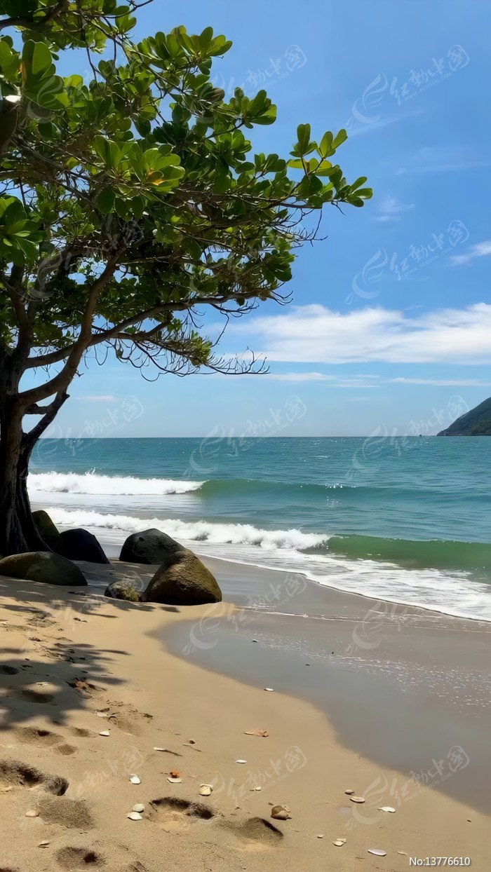 ����ɳ̲�������˷羰