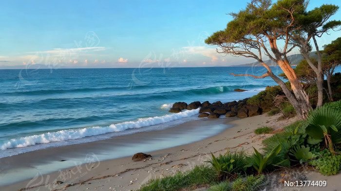 ����ɳ̲�뺣����Ȼ����