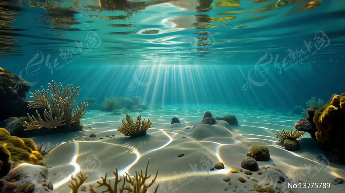 ����ɺ������Ȼ����