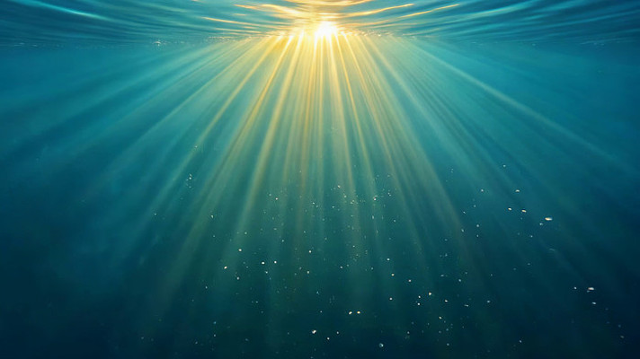 ��������͸�䲨�����Ծ���