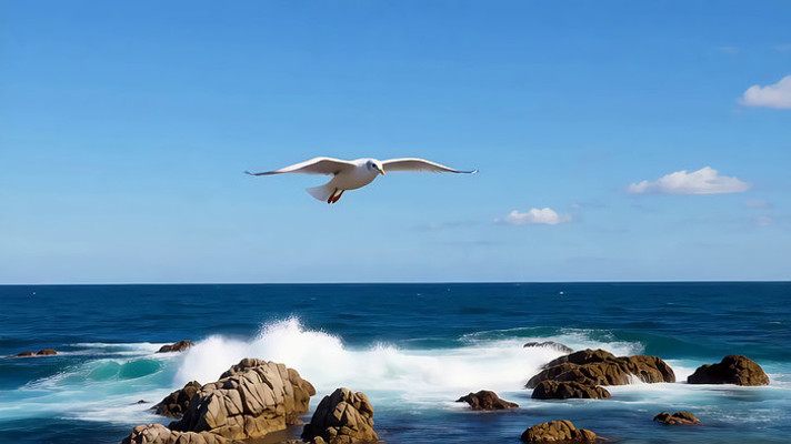 �����Ϸ���ĺ�Ÿ���˻�