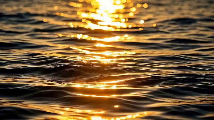 �������Ⲩ�����Ծ���