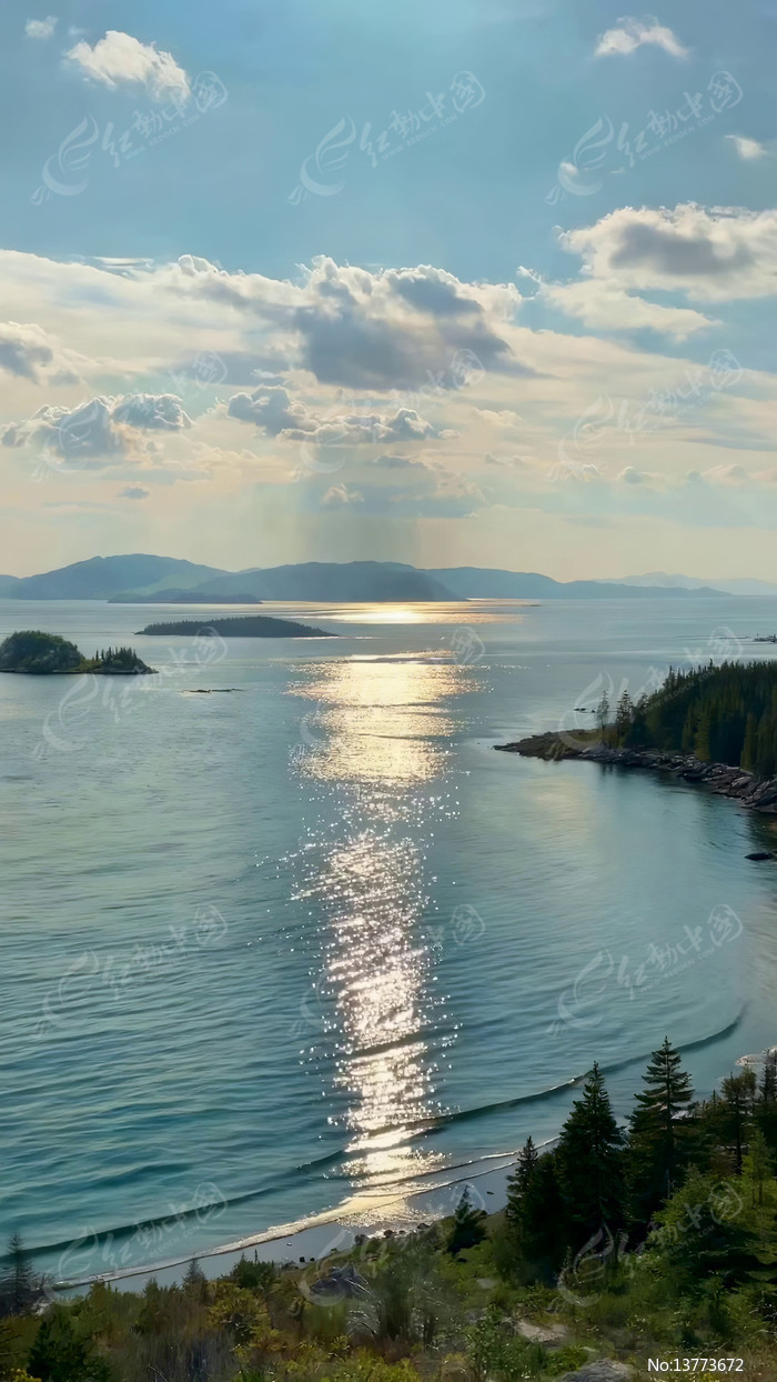 ��������������Ȼ���