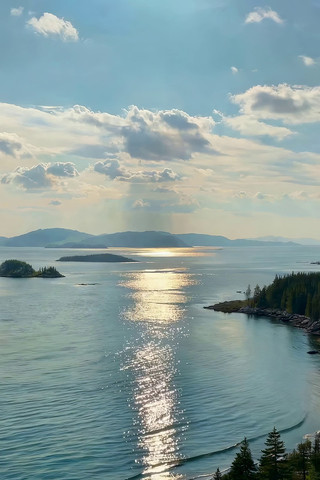 ��������������Ȼ���