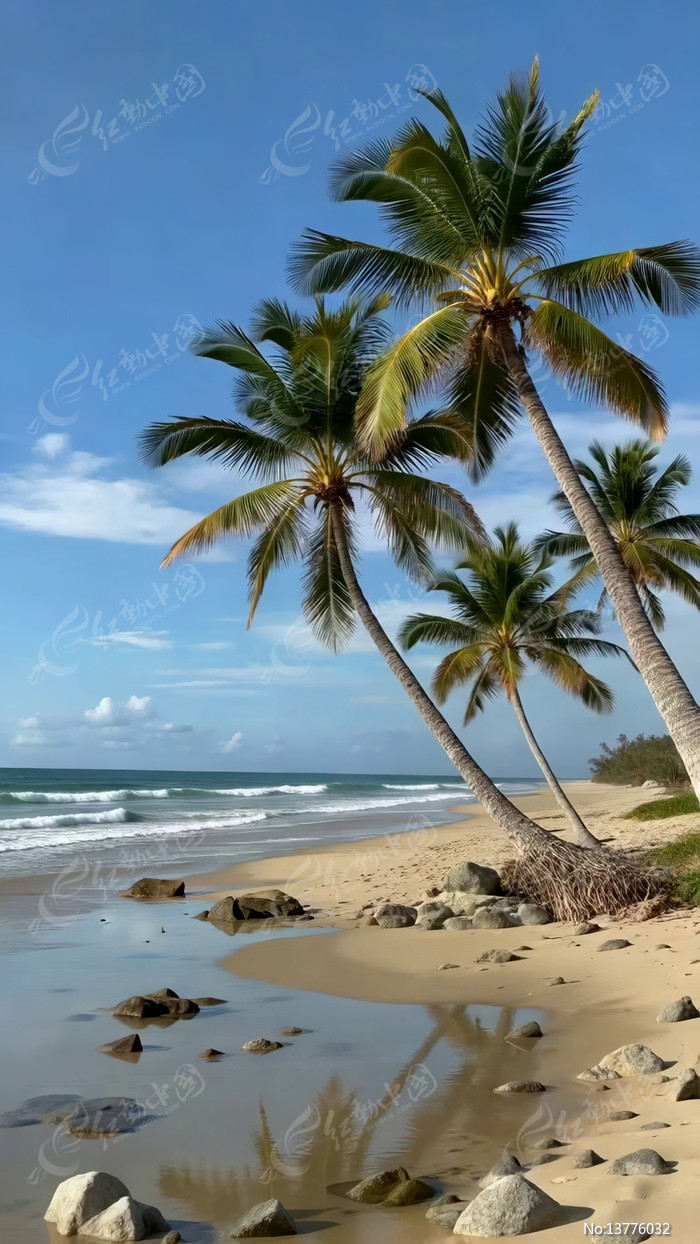 ��̲����б��Ҭ�����羰