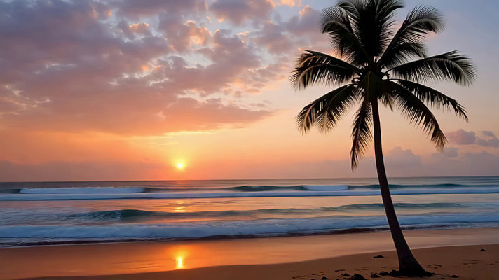 ��̲���䵥��Ҭ������ɫ