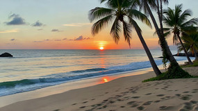 ��̲���������������