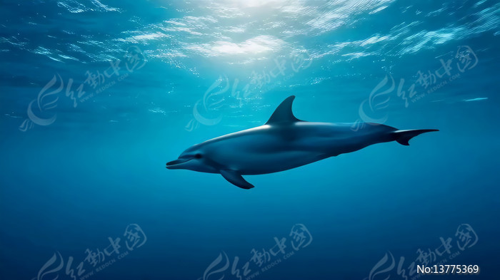 ������Ӿ�ĺ���