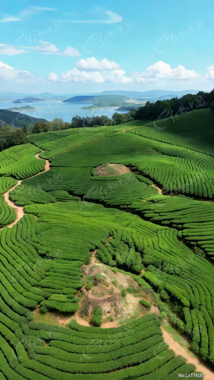 ���Ĳ�԰��Ȼ���