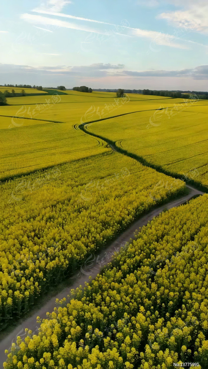 ���Ĵ�Ƭ�Ͳ˻�����