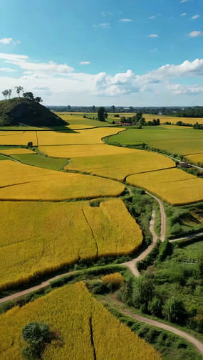 ���Ľ��ɫ������԰���