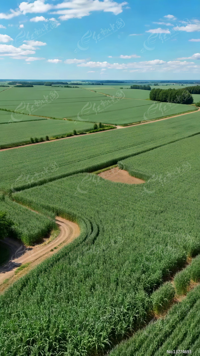 ������ɫ��Ұũ�ﾰ��