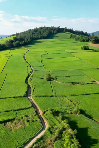 ������ɫ��Ұ������С·