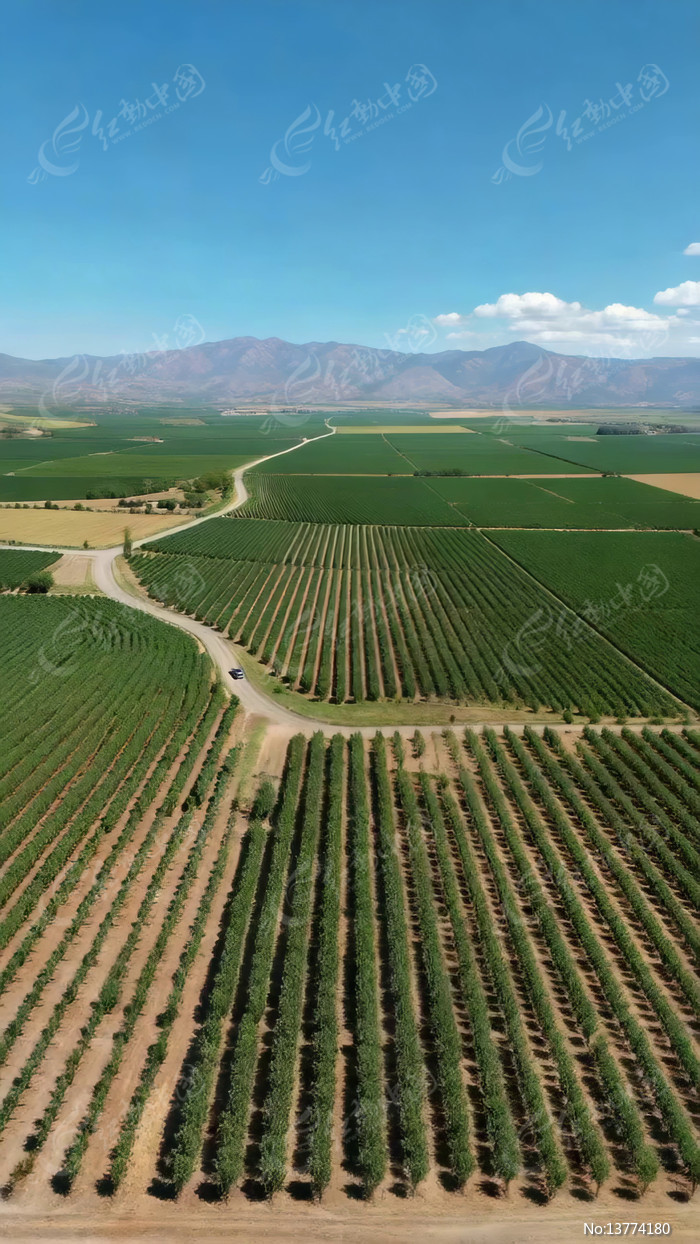 ����ũ����Զɽ����