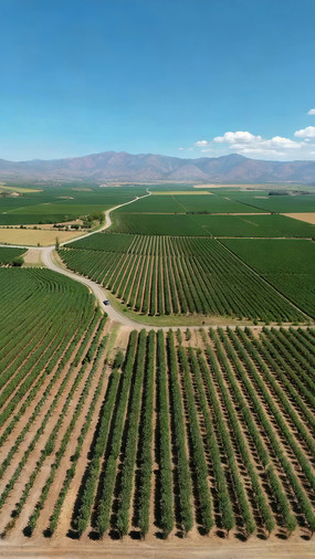 ����ũ����Զɽ����