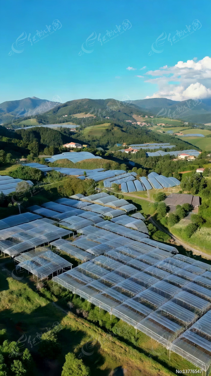 ����ɽ�ؼ��ũҵ����