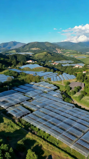 ����ɽ�ؼ��ũҵ����