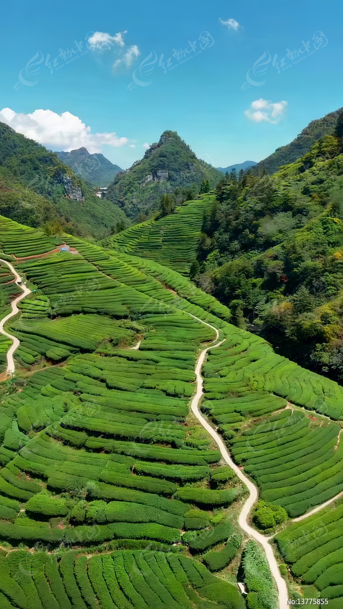 ����ɽ����״��԰���