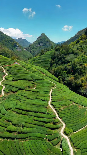 ����ɽ����״��԰���