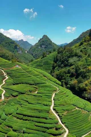 ����ɽ����״��԰���